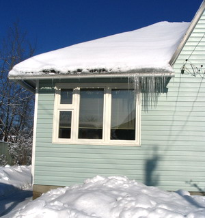 Снежные заметки... для Наташи Шмель