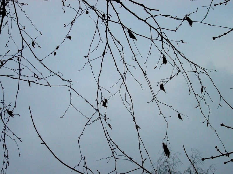 Небо в play off