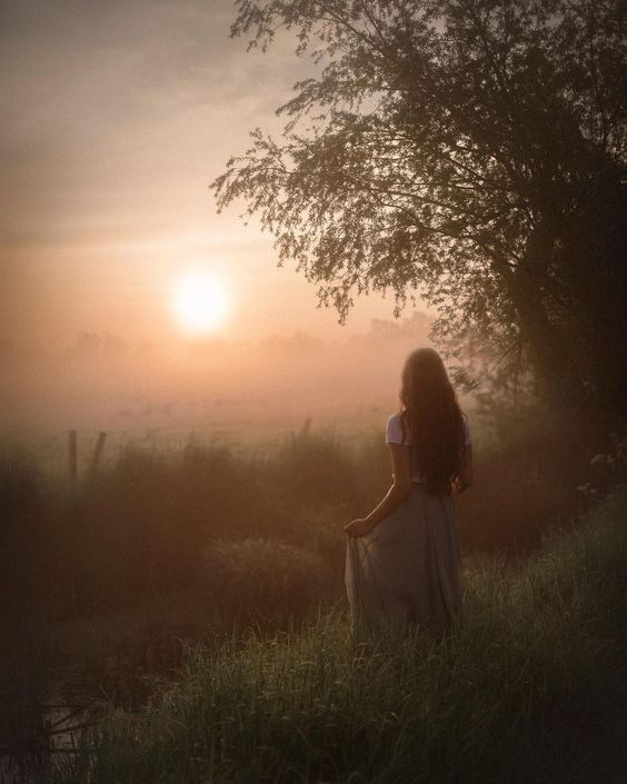 Уже заря по кронам древ бежит...