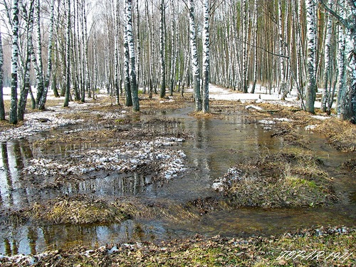 Поступь Весны