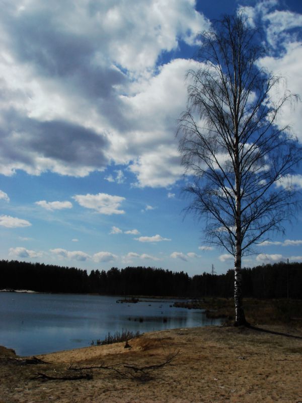 Наполняю душу памятью любви