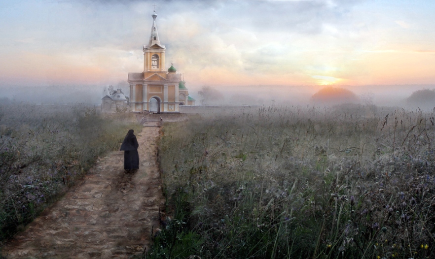 Суета жизни