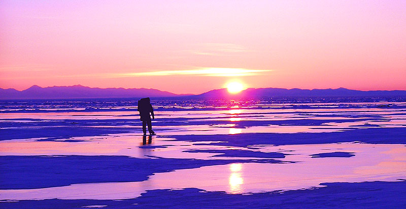 Пурпурный Ангел