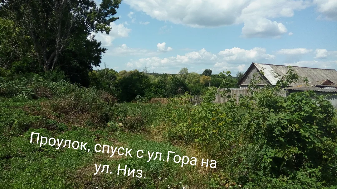 Мое Поречное