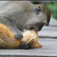 Притча. О новизне в сексе