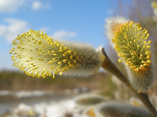 Так и хочется вновь надеяться...