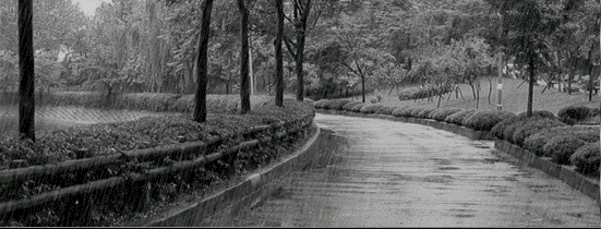 Любовь и Дождь...