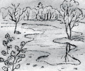 Солнечные зайчики