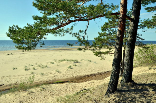 Опустели колодцы...