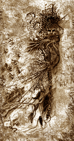 A heart without wishes