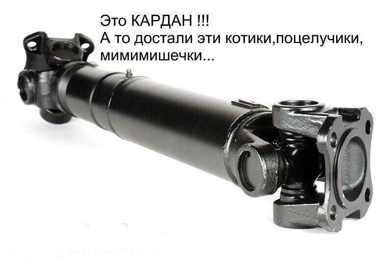 История с Кардано