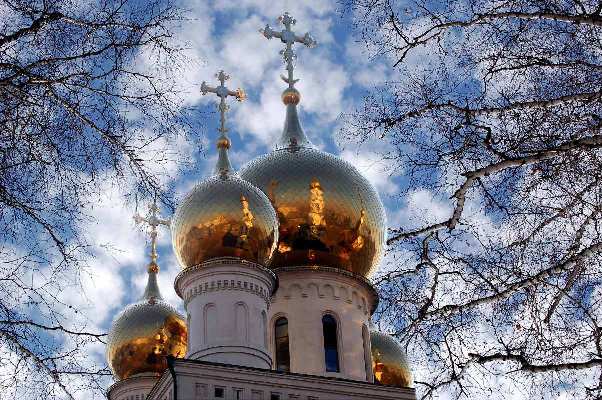 Кодекс чести