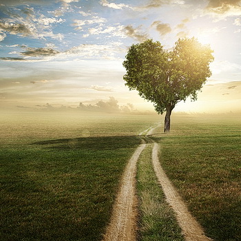 Ко мне вчера пришла Любовь