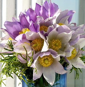 Зима крадётся чуть дыша