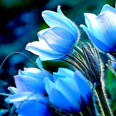 Предчувствие Весны