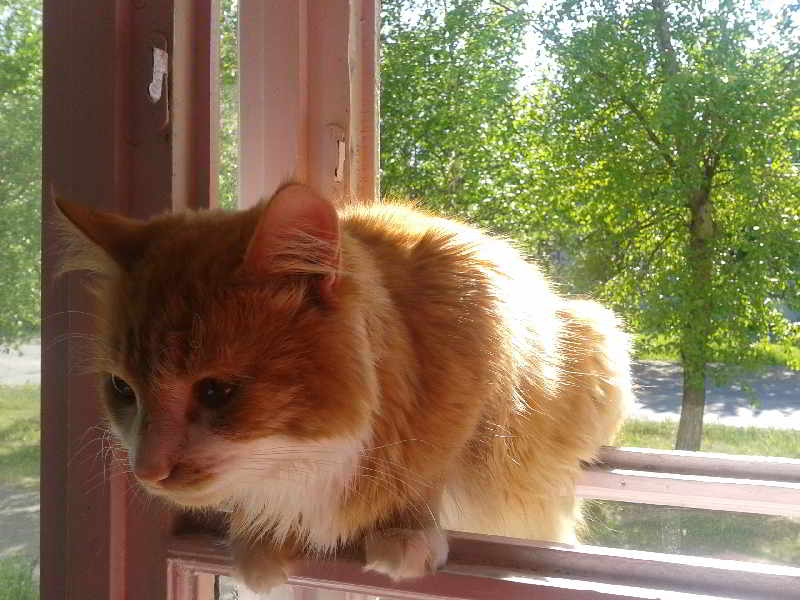 Зной