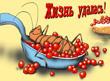Таракан из Зоомагазина