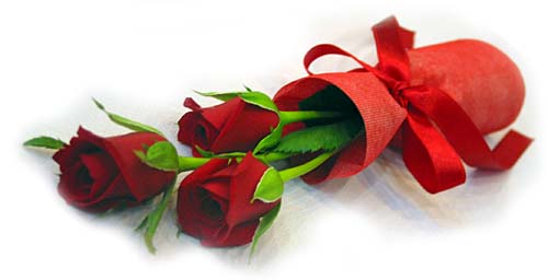 Осенний ноктюрн