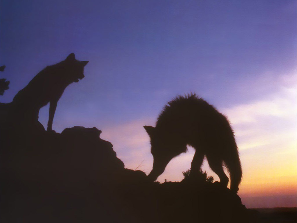 Мотив королей