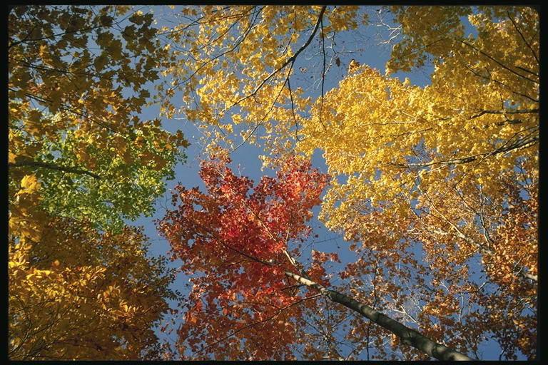 Потанцуйте со мной