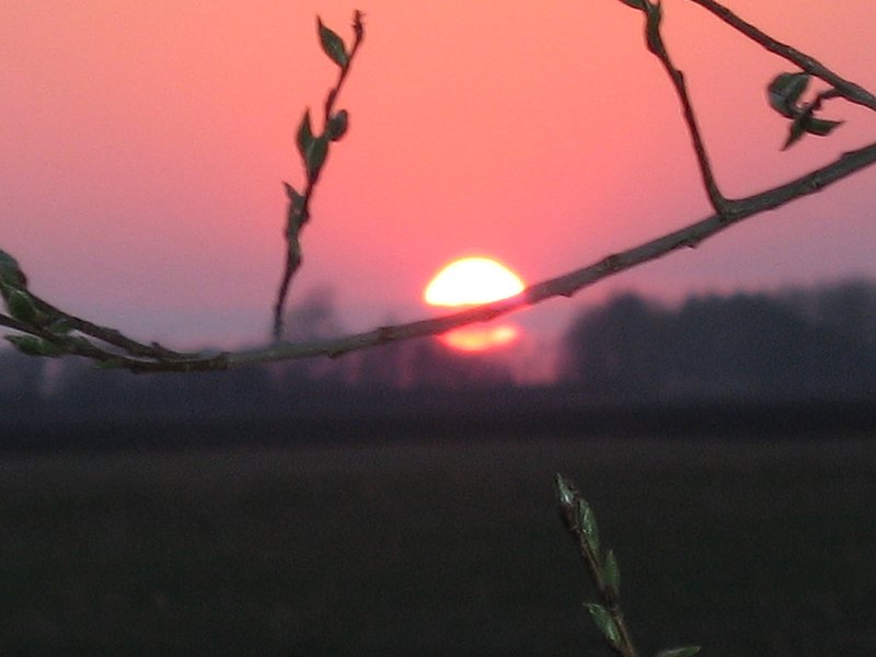 Всё уже было