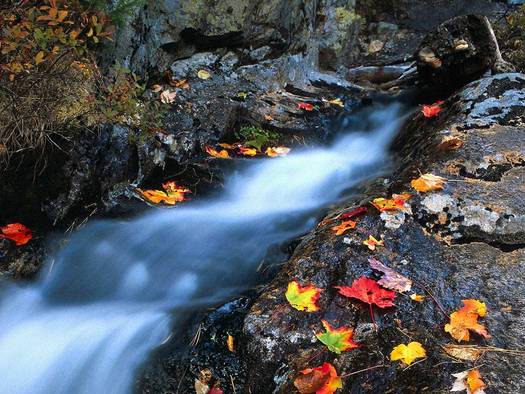 Вот и закончилось лето...