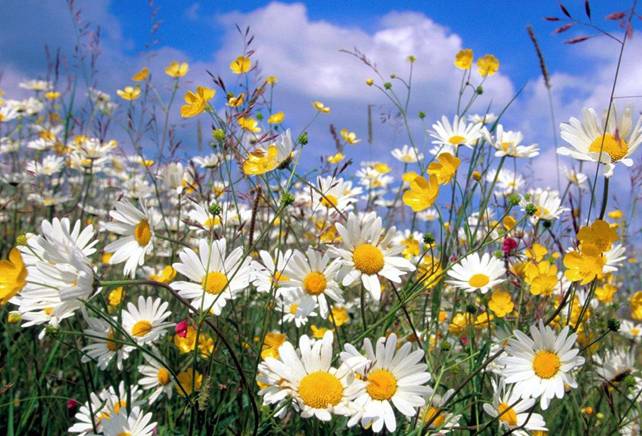 С 8 марта о любви о весне...