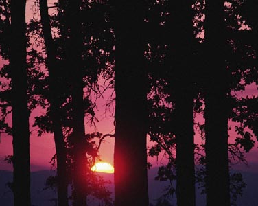 Еще один сгорает день