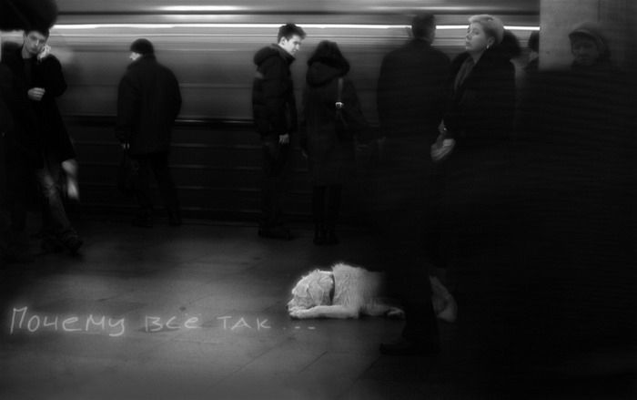 Не вернулась домой