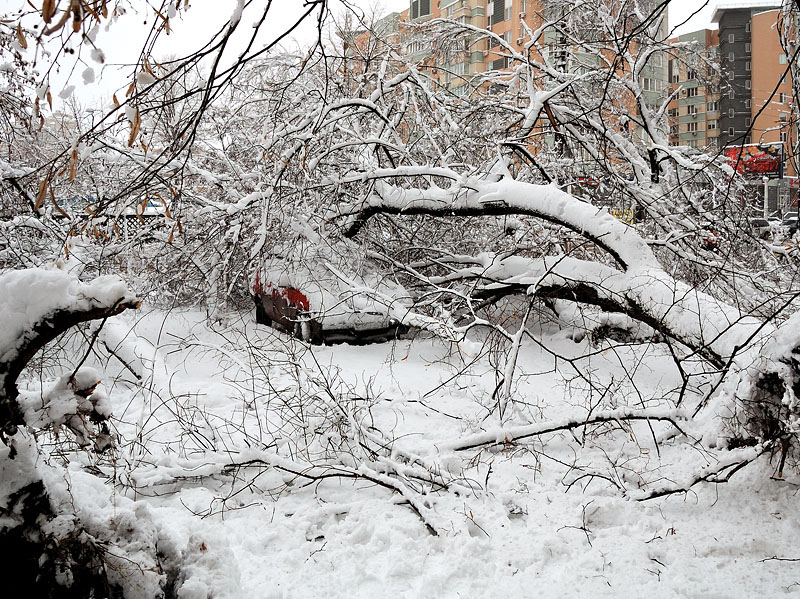 Коварный снег