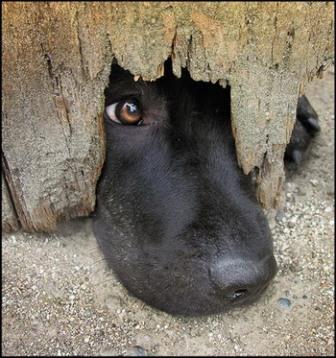 Я умею ждать очень