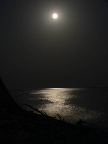 Остановите это время