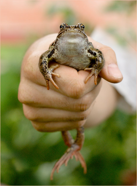 фотостихо - я не из тех, в ком зарыты царевны...
