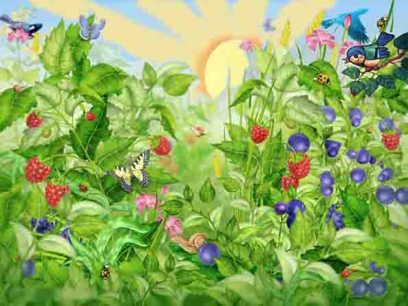 Летнее утро