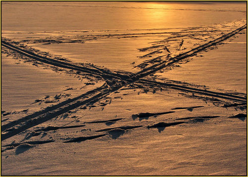 От любви и до дружбы