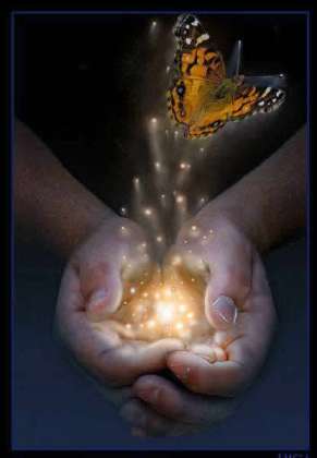 Гонка жизни