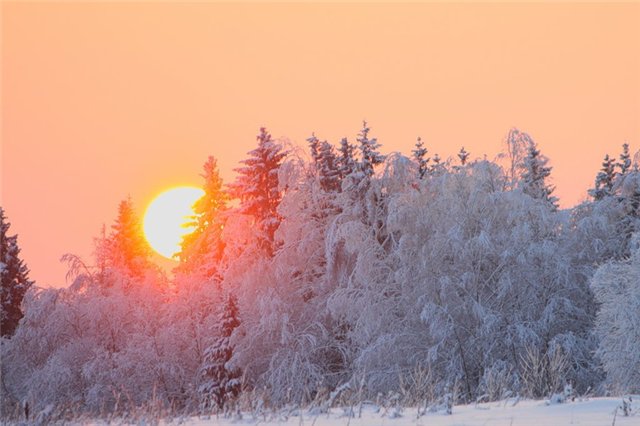 Зимняя сказка