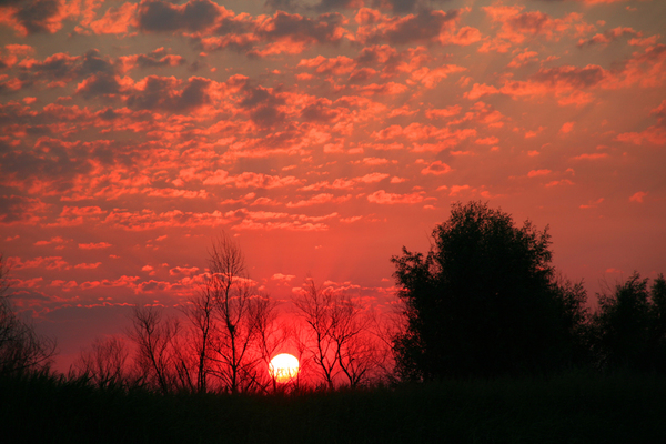 Свидание закончилось