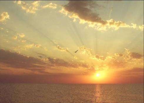 Жизнь среди веков