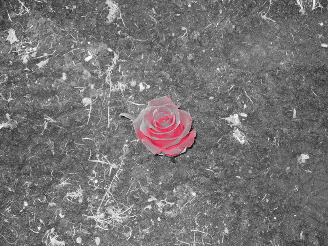 Одиночество - Viva!