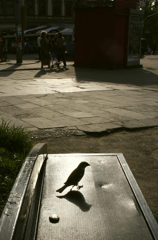 В светлый день Воскресенья...