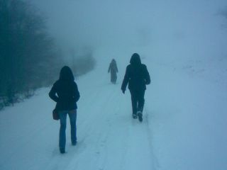 устало я зеваю смерти