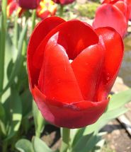 Прикасаюсь к тебе...