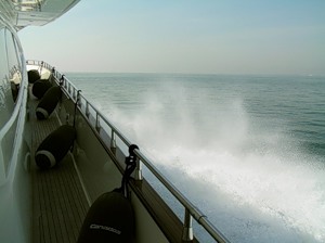 Безумный мир