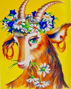 Модница коза