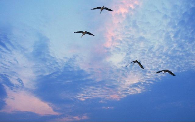 Когда-нибудь