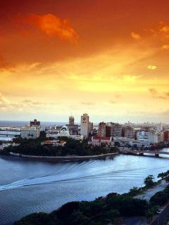 Петергофские парки