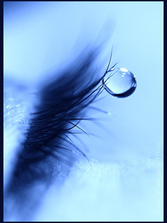 Тонкий запах...