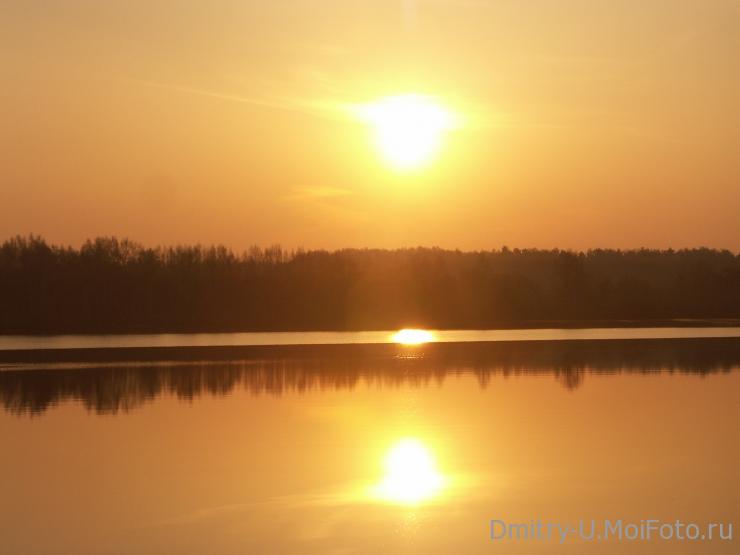 Даже ветви плакучей ольхи...