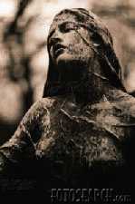 Mein Herz ist ein geraeumiger Friedhof...